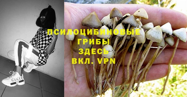 прущая мука Абаза