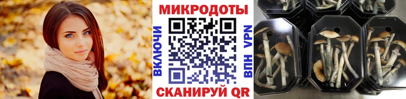 Галлюциногенные грибы Cubensis  дарнет шоп  Отрадный 